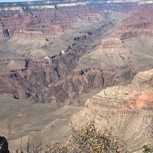 Meet your Posher, Gavin